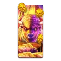 Buffalo
King